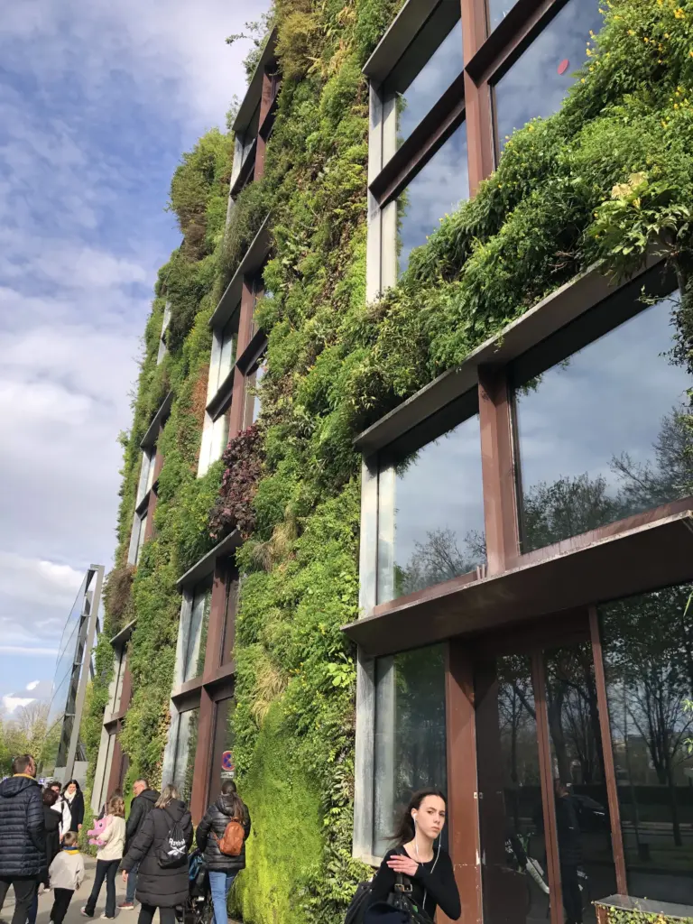Fassade begrünt